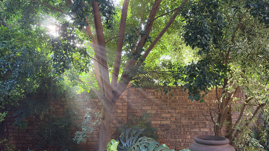 three simple backyard decor ideas